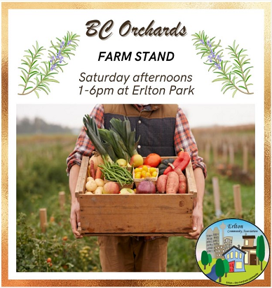 Weekly Farm Stand